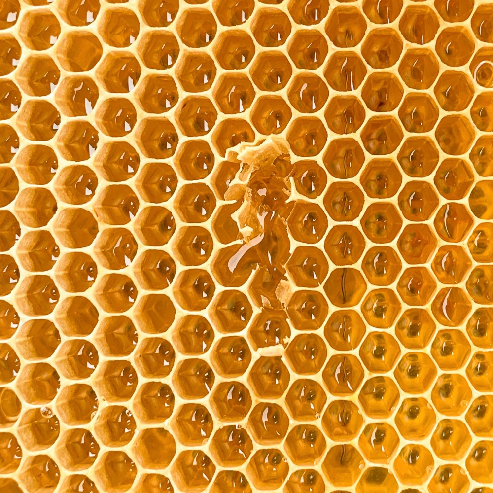 Bee's wax