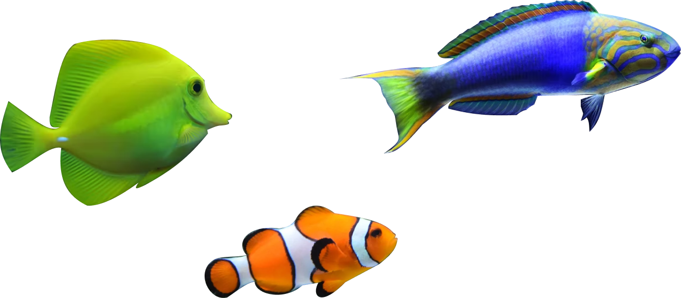 Fishes